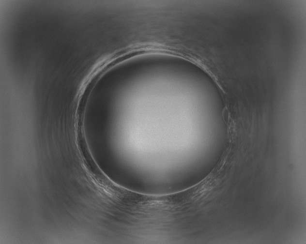 X0000054380151200508011303