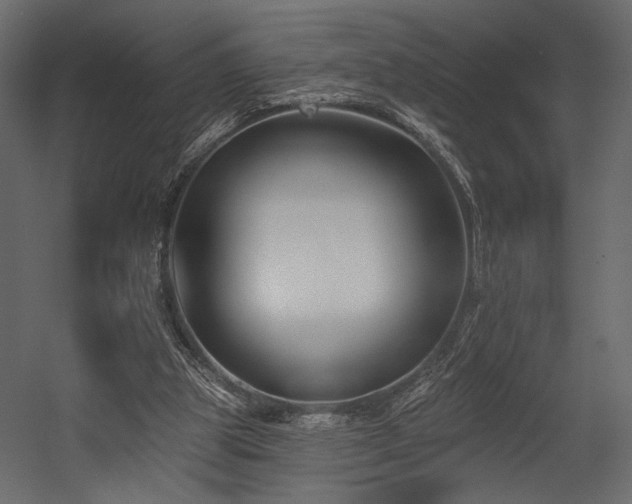 X0000054380153200508011303
