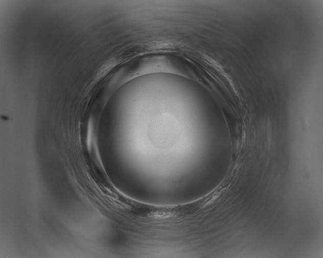 X0000054380154200508011303