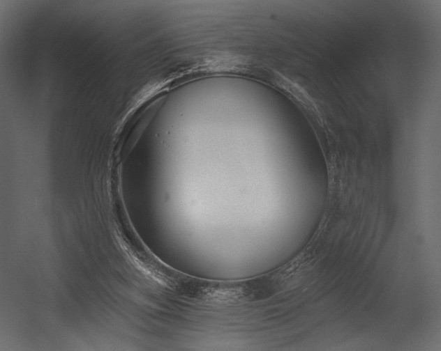 X0000054380155200508011303