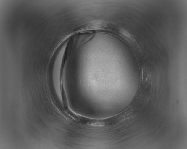X0000054380156200508011303