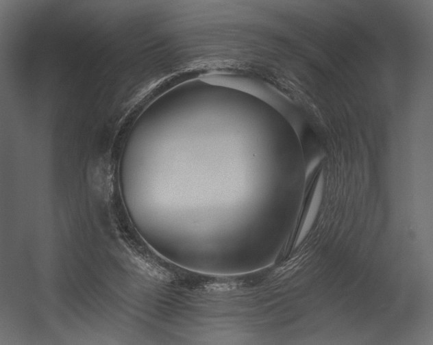 X0000054380160200508011303