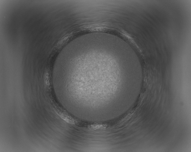 X0000054380161200508011303