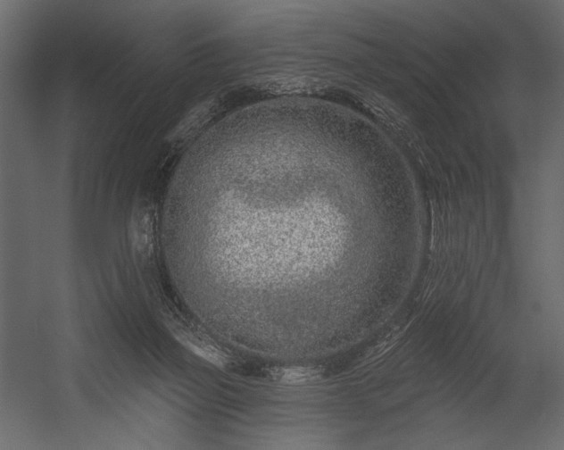 X0000054380165200508011303