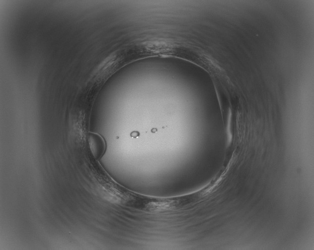 X0000054380170200508011303