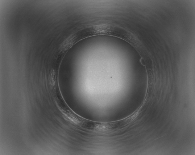 X0000054380174200508011303