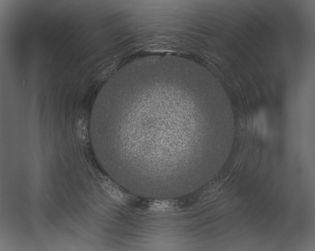 X0000054380177200508011303