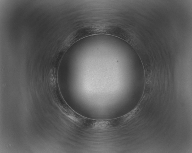 X0000054380179200508011303