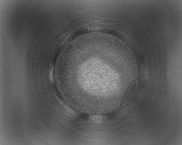 X0000054380181200508011303