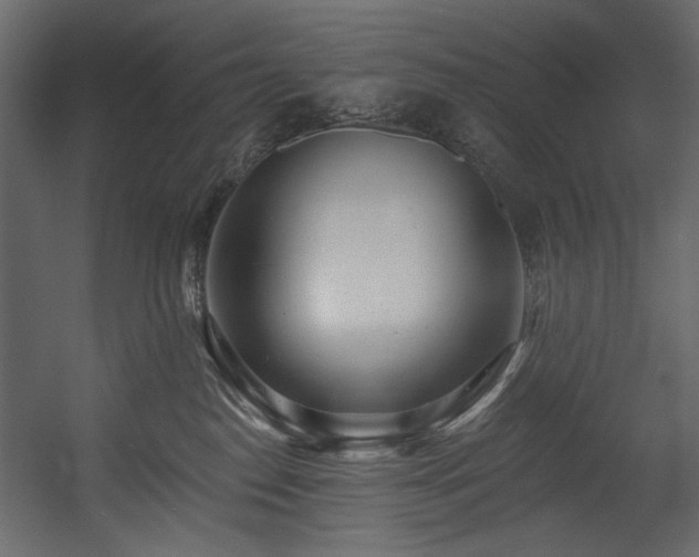 X0000054380186200508011303