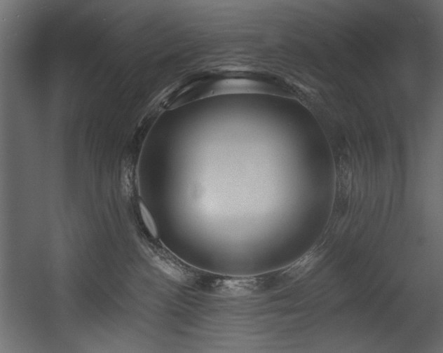 X0000054380188200508011303