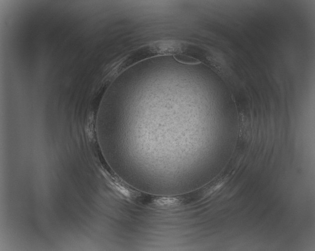 X0000054380189200508011303