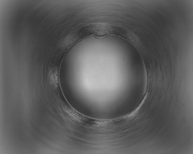 X0000054380190200508011303