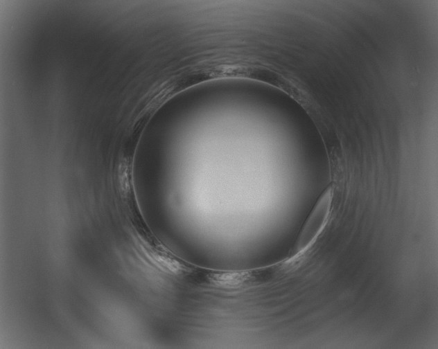 X0000054380191200508011303