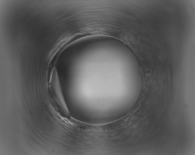 X0000054380194200508011302