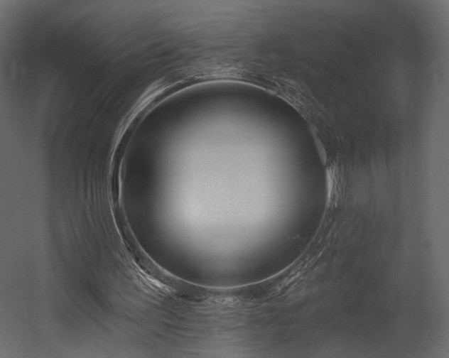 X0000054380195200508011302