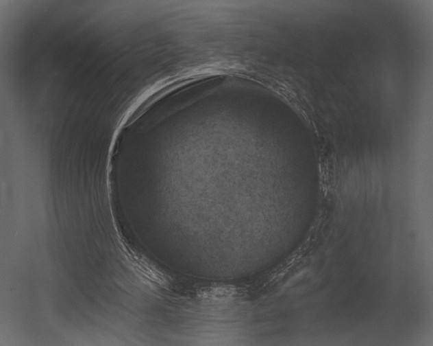 X0000054380196200508011302