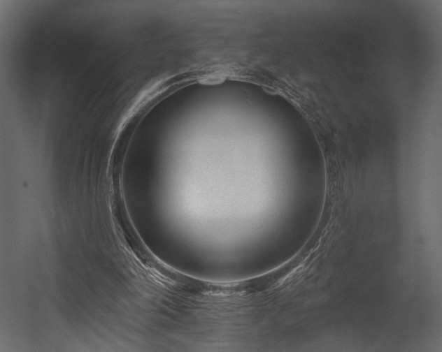 X0000054380198200508011302
