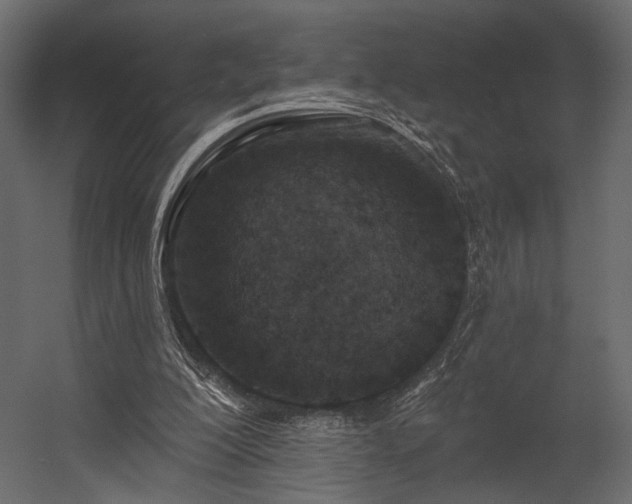 X0000054380200200508011302