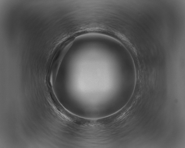X0000054380201200508011302