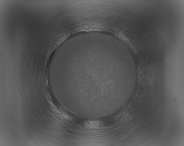 X0000054380202200508011302