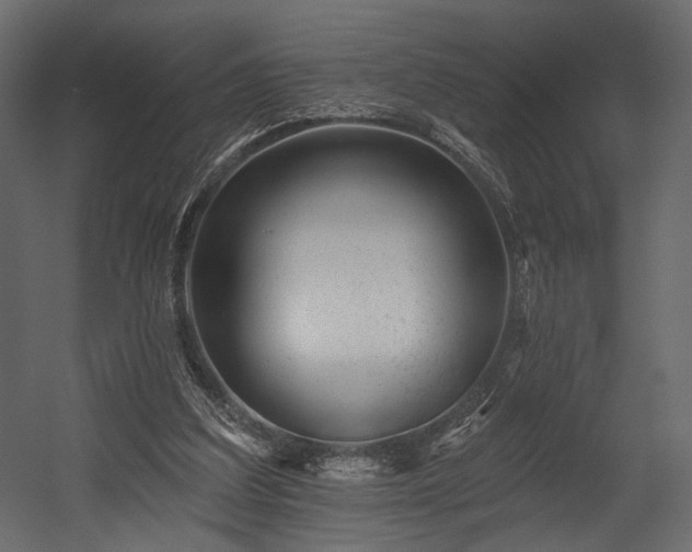X0000054380203200508011302