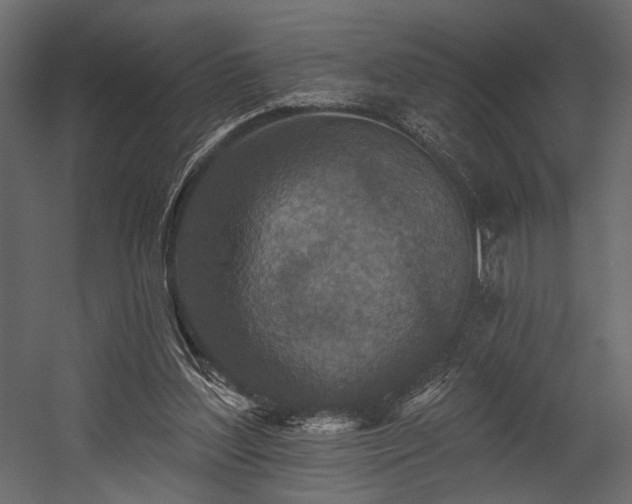 X0000054380204200508011302