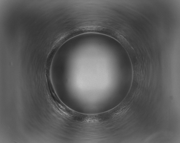 X0000054380207200508011302
