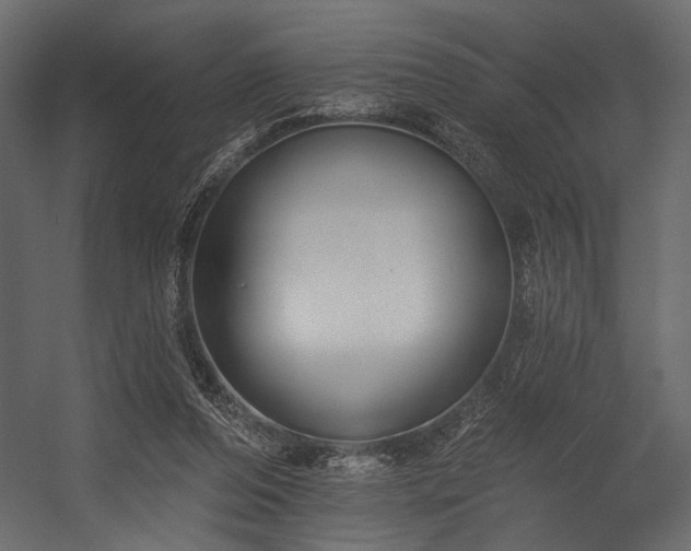 X0000054380208200508011302