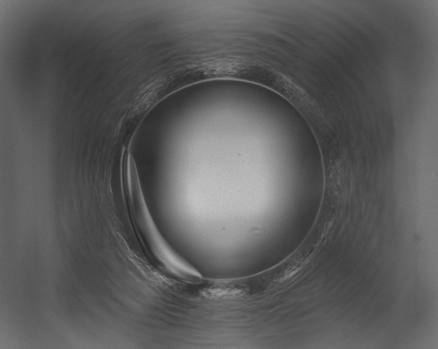 X0000054380209200508011302