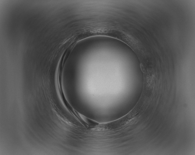 X0000054380211200508011302