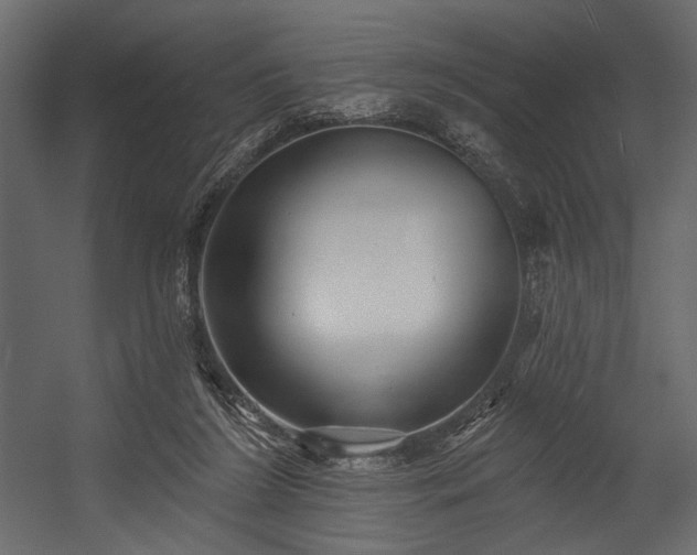 X0000054380212200508011302