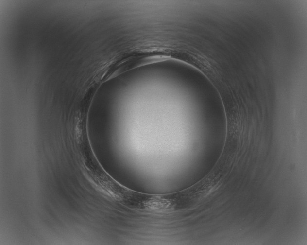 X0000054380215200508011302