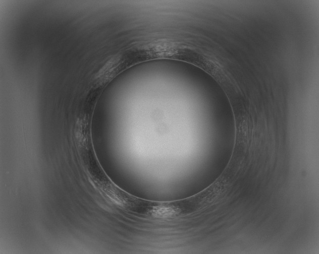 X0000054380218200508011302