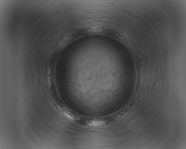 X0000054380223200508011302