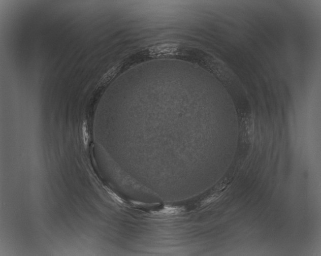 X0000054380224200508011302