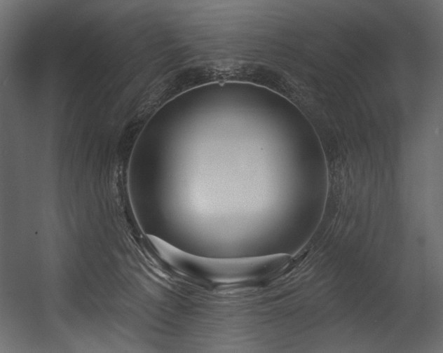 X0000054380225200508011302