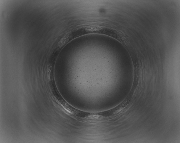 X0000054380227200508011302