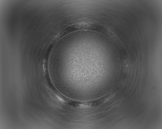 X0000054380232200508011302