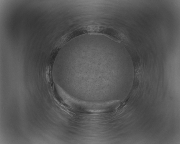 X0000054380233200508011302