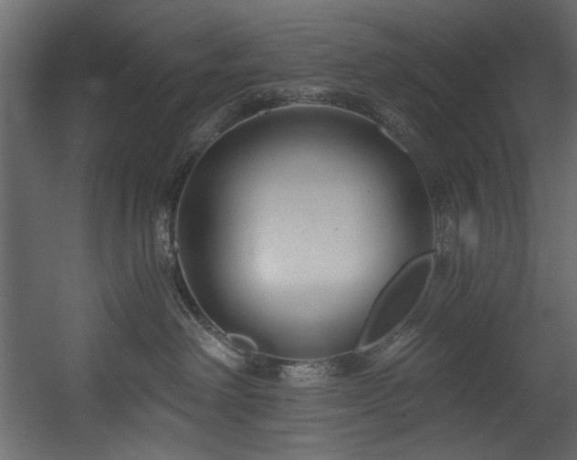 X0000054380238200508011302