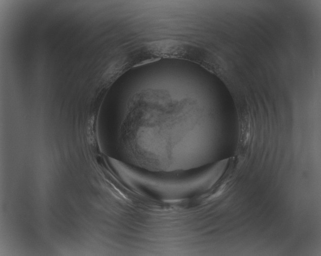 X0000054380239200508011302