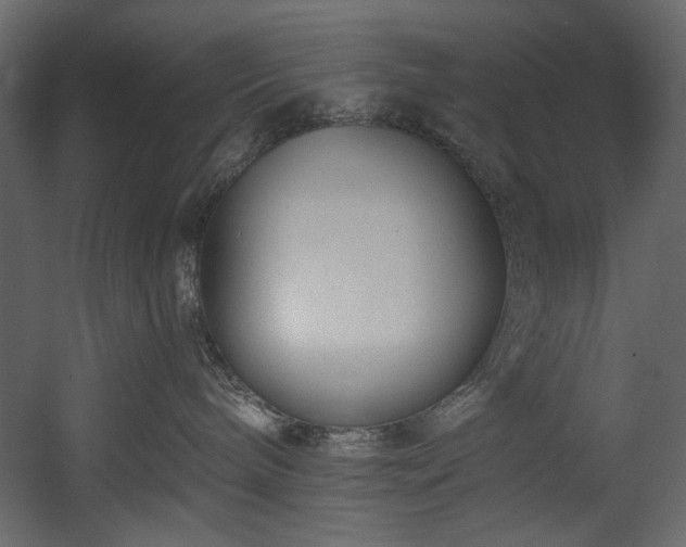 X0000054380240200508011302