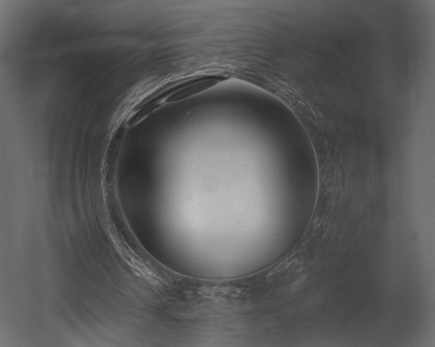 X0000054380242200508011301