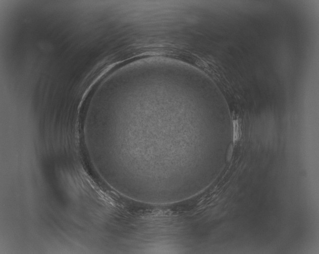 X0000054380243200508011301
