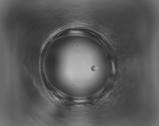 X0000054380244200508011301