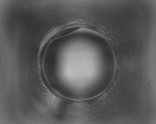 X0000054380245200508011301
