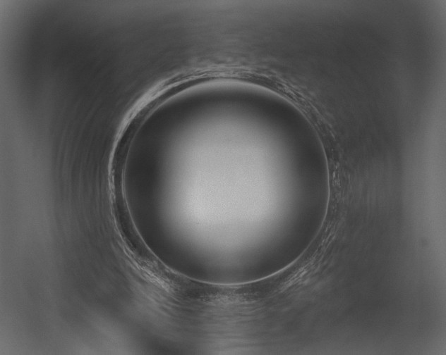X0000054380246200508011301