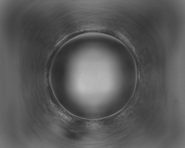 X0000054380249200508011301