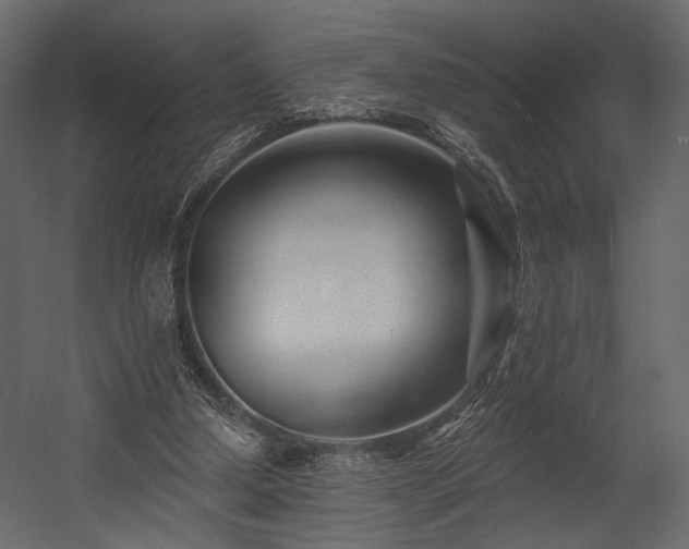X0000054380250200508011301